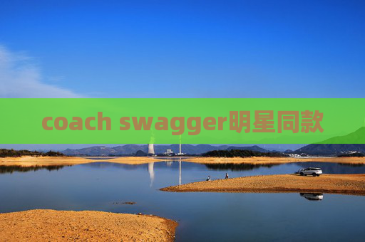 coach swagger明星同款